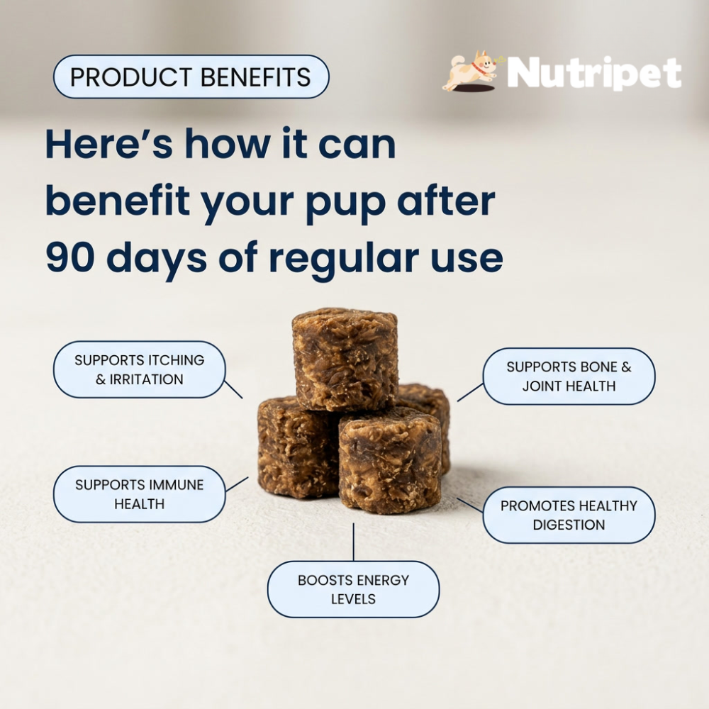 NutriPet Allergy + Itch Relief