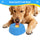 Nutripet Slow Feeder Dog Bowls for Liquid Treat