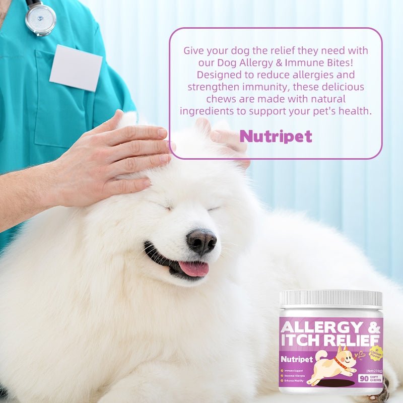 NutriPet Allergy + Itch Relief - NutriPet
