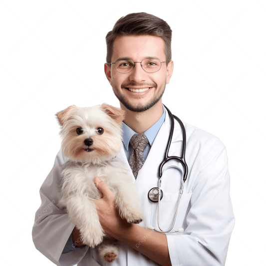 👩‍⚕️ Free Vet Chat Consultation (FREE — £75 value)